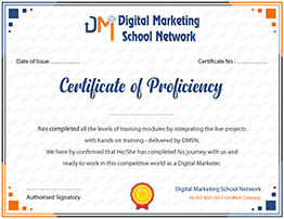 DMSN Certificates