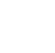 WordPress Paid Themes